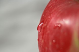 孕妇可以吃莲雾和山竹吗？